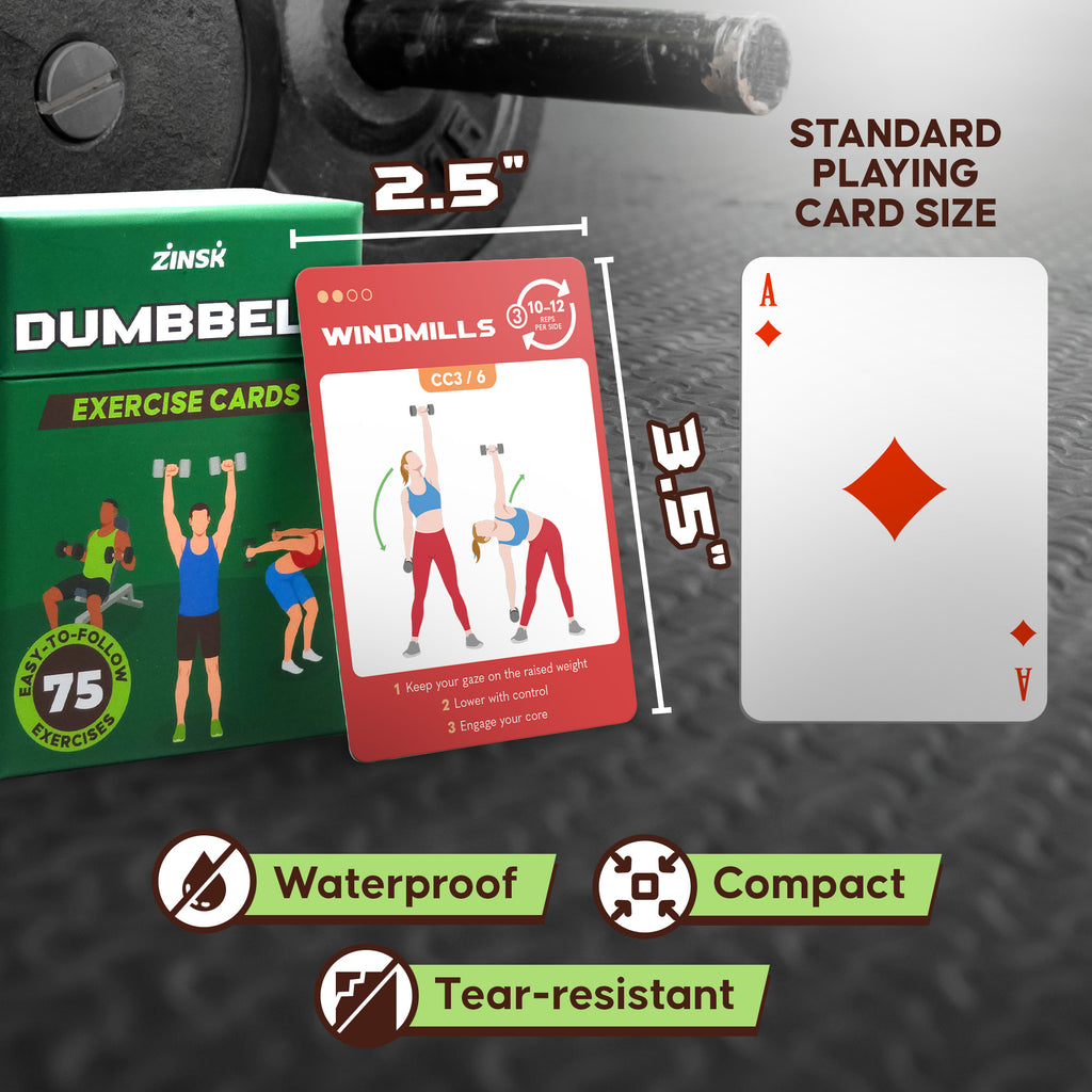 Zinsk 75 Dumbbell Workout Cards – 3.5” x 2.5” Full Body Weight Training Exercise Deck