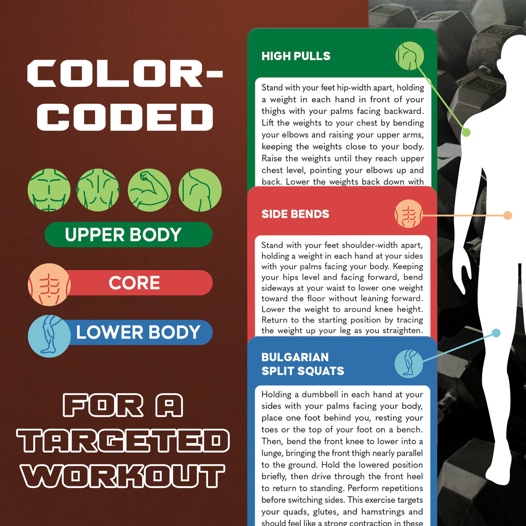 Zinsk 75 Dumbbell Workout Cards – 3.5” x 2.5” Full Body Weight Training Exercise Deck