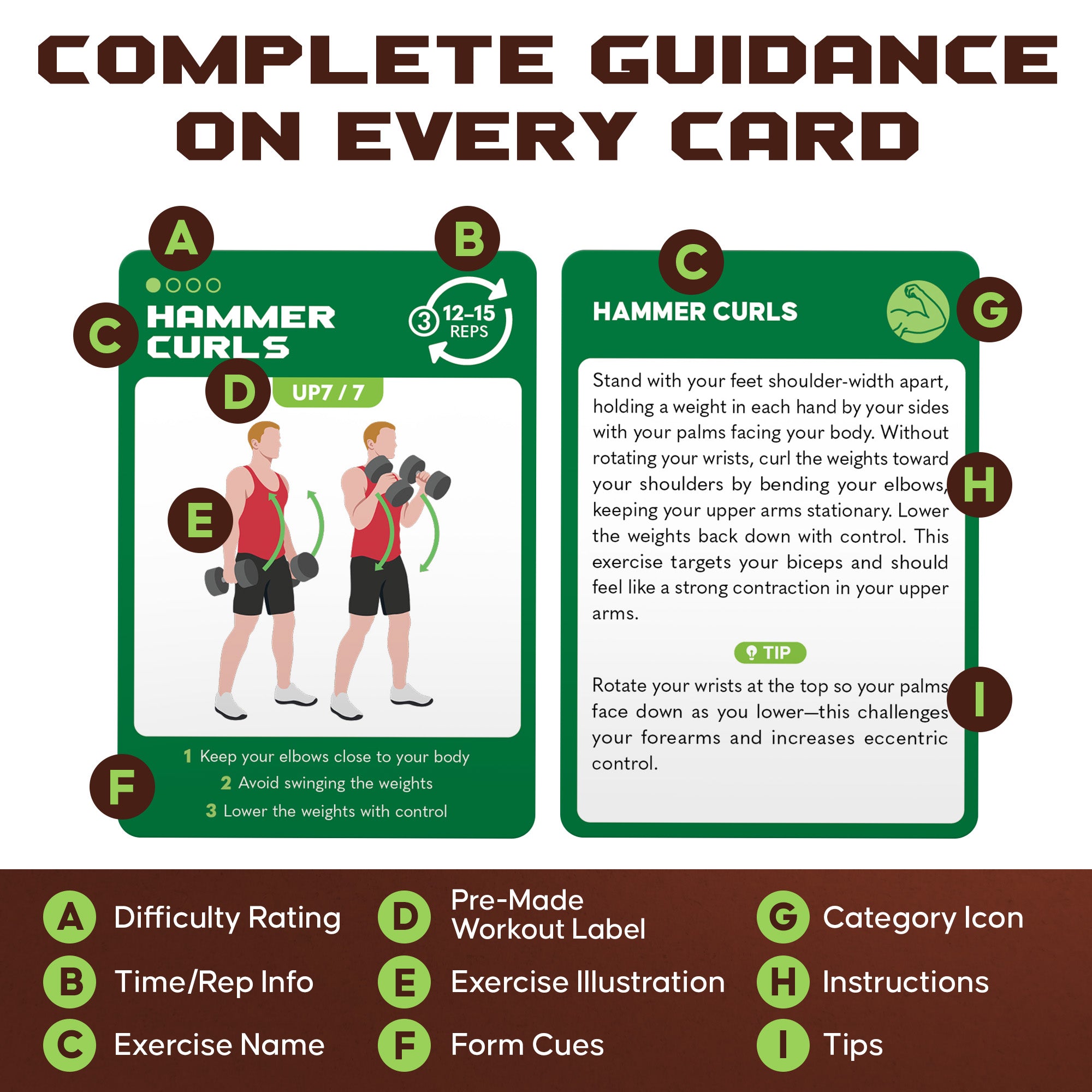 Zinsk 75 Dumbbell Workout Cards – 3.5” x 2.5” Full Body Weight Training Exercise Deck